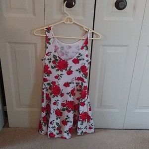 Skaters dress